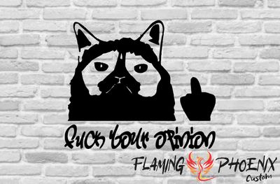 Vinyl sticker Fuck your opinion Cat finger